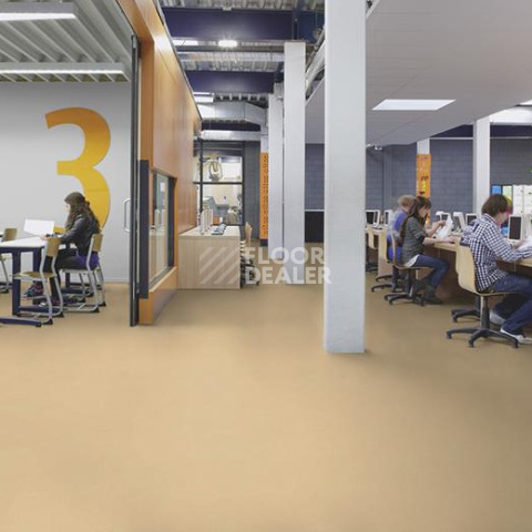 Forbo Marmoleum Decibel on Order 372635 venus фото 2 | FLOORDEALER